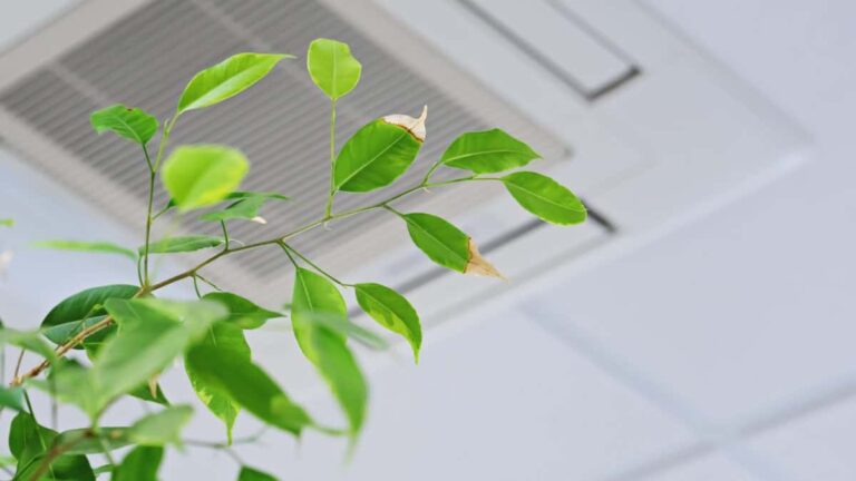 THE IMPORTANCE OF AIR QUALITY TESTING FOR YOUR RALEIGH PROPERTY